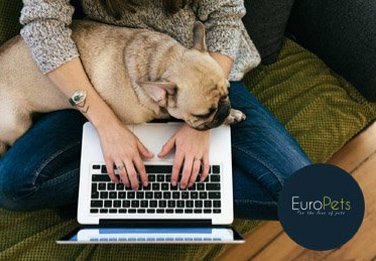 Be Unique Client in Dubai - Euro Pets