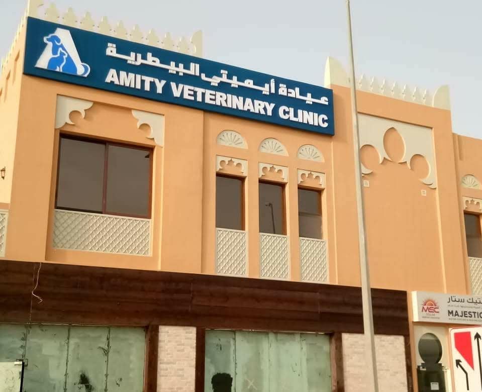 Amity Veterinary Clinic, providing veterinary services for cats and dogs