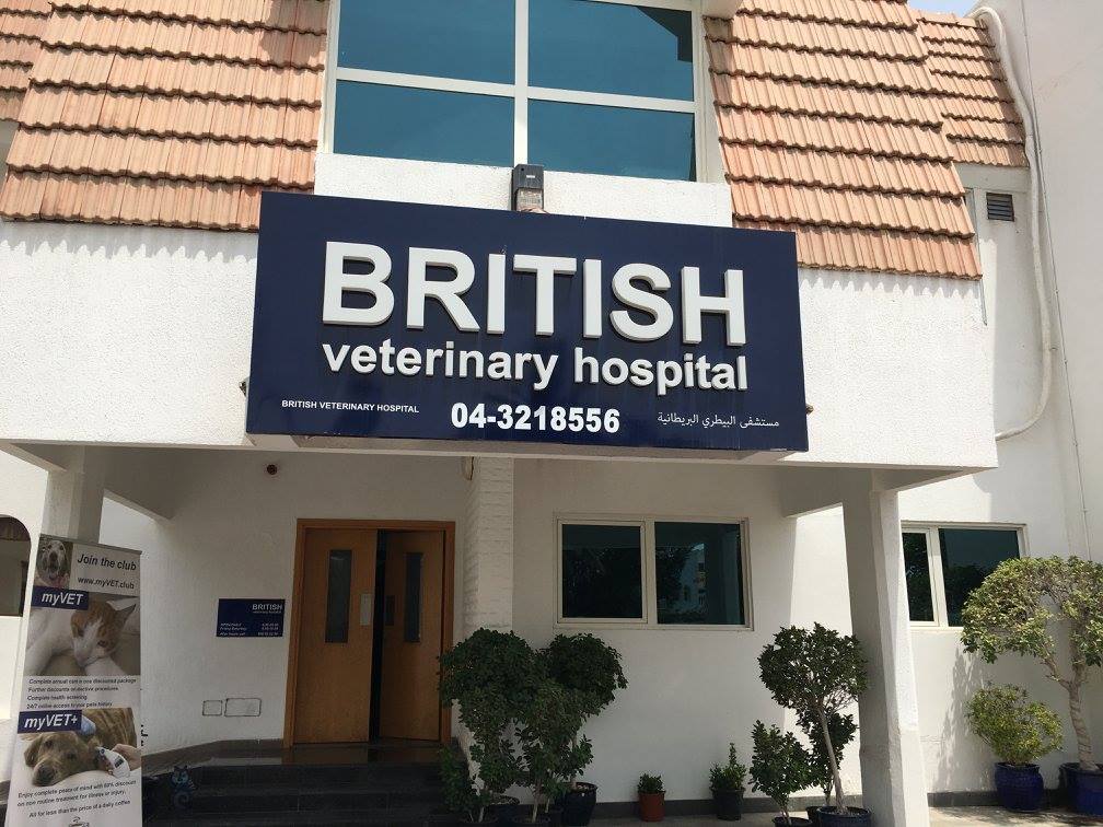 British Veterinary Hospital’s clean and modern building exterior