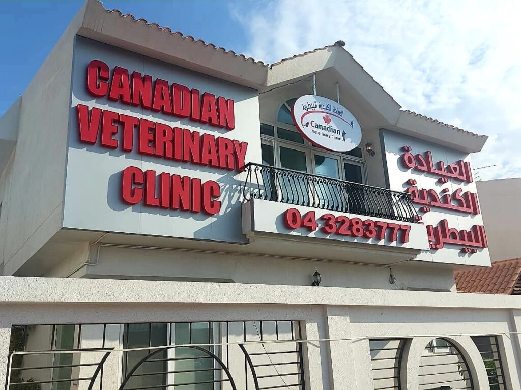 Canadian Veterinary Clinic’s visible signage that lights up in the nighttime