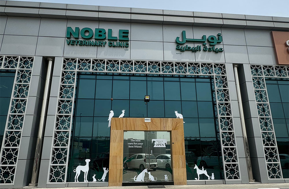 Noble Veterinary Clinics’ branch in JLT, one of the top vet clinics in Dubai